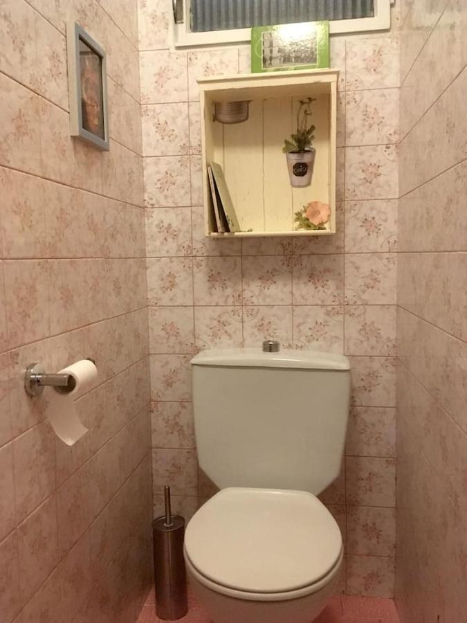 Casa L'avia Apartment Ribes De Freser
